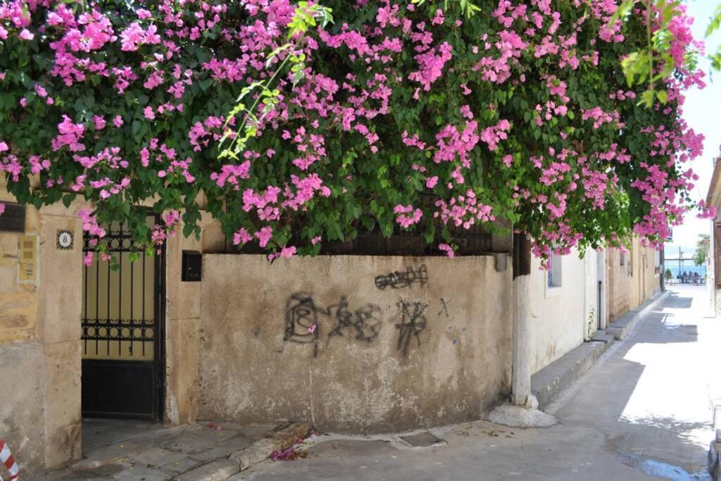 Κέντρο Αίγινα ήσυχη κατοικία90τμ δίπλα στη θάλασσα Εξωτερικό φωτογραφία