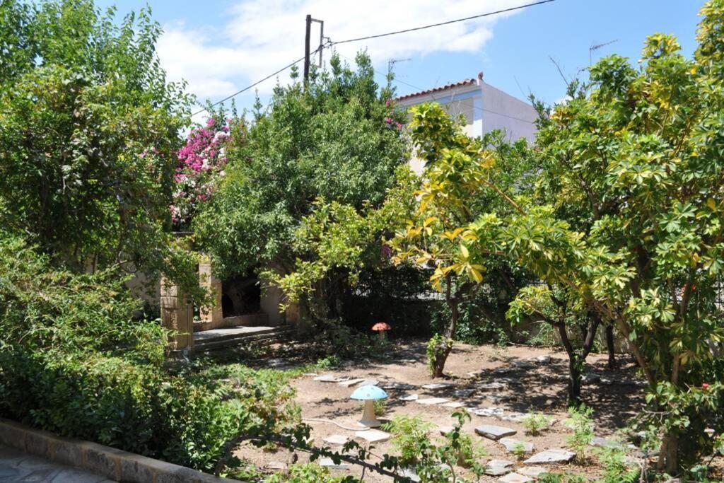 Κέντρο Αίγινα ήσυχη κατοικία90τμ δίπλα στη θάλασσα Εξωτερικό φωτογραφία